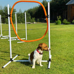Pet Agility Training Equipment 4 in 1 Dog Jump Portable Obedience Training Set