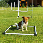 Pet Agility Training Equipment 4 in 1 Dog Jump Portable Obedience Training Set