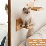 Wall Mounted Cat Square Steps with Bed - Cat Stepper Shelf - Wooden Cat Furniture
