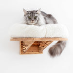Large Wall Mounted Cat Perch Bed Platform - Solid Wood Cat Sleeper Shelf With Extra Soft Cushion - Wooden Cat Furniture Collection