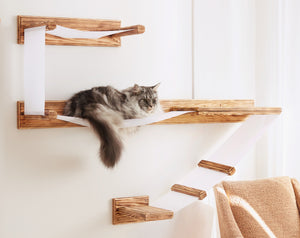 Large Wall Mounted Cat Shelf Play Platform With Bed - Solid Wood Cat Sleeper Shelf - Wooden Cat Furniture Collection